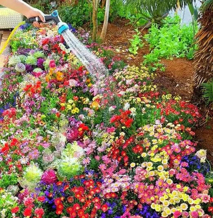 100+ Variety Flower Seeds (Pack of 100) And a FREE Plant Growth Supplement