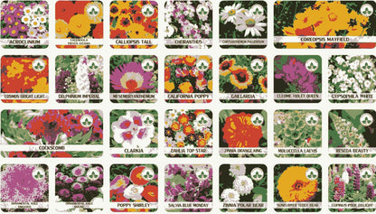 100+ Variety Flower Seeds (Pack of 100) And a FREE Plant Growth Supplement