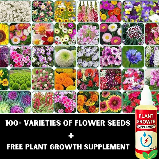 100+ Variety Flower Seeds (Pack of 100) And a FREE Plant Growth Supplement